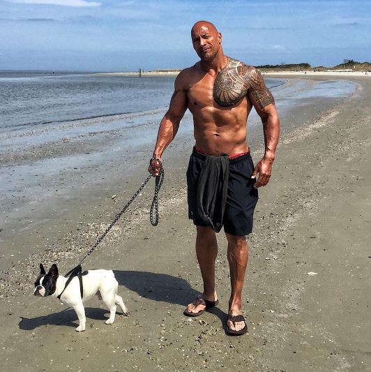 The Rock
