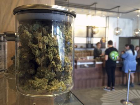 File - In this April 20, 2016 file photo, customers buy products at the Harvest Medical Marijuana Dispensary in San Francisco. California's lopsided U.S. Senate is nearing a historic end and voters are pondering a long list of ballot questions that could legalize marijuana, end the death penalty and slap cigarette smokers with a $2-a-pack tax increase. (AP Photo/Haven Daley, File)