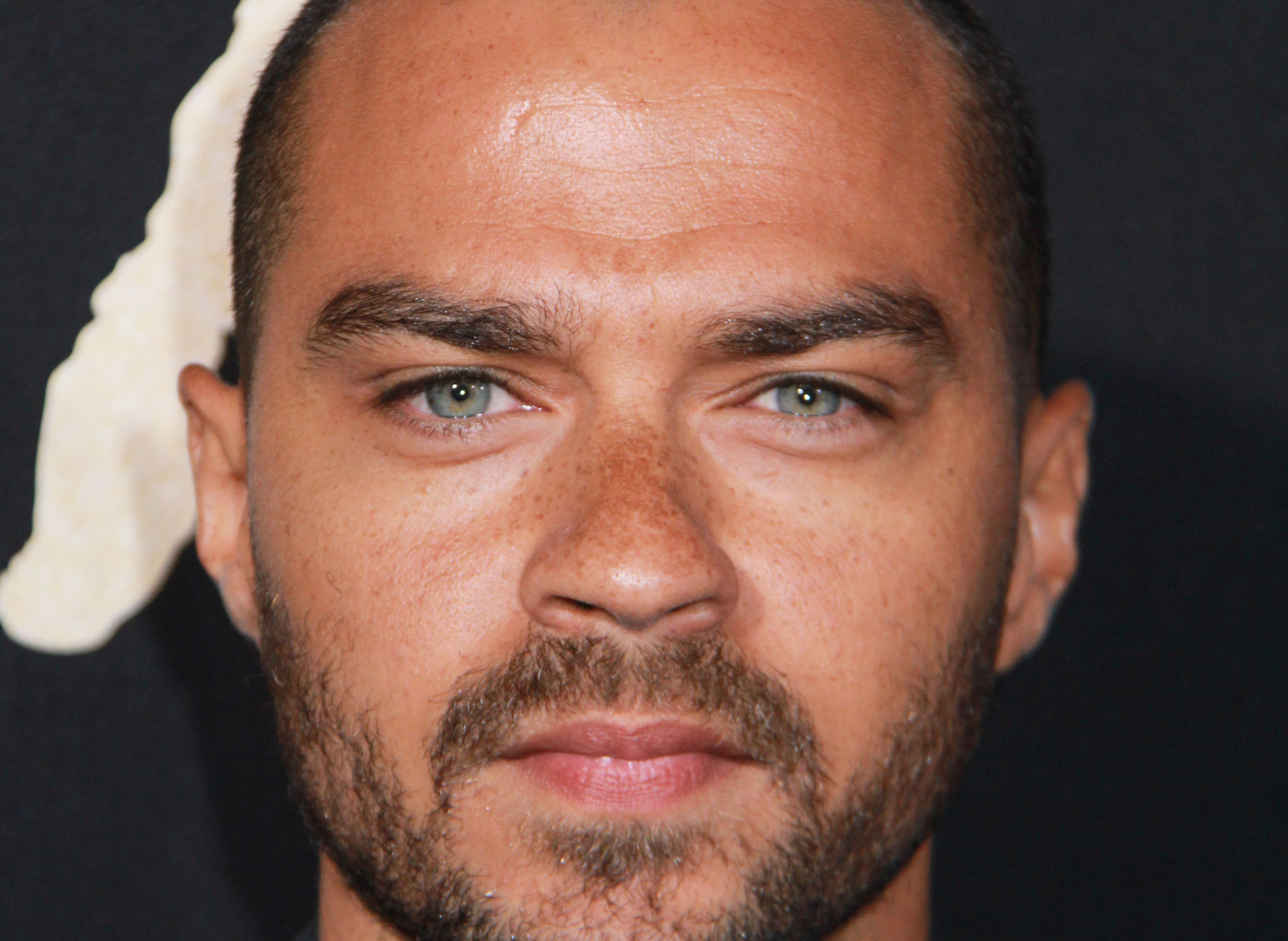 09/21/2016 - Jesse Williams - "The Birth of a Nation" Los Angeles Premiere - Inside Arrivals - ArcLight Cinemas Cinerama Dome, 6360 Sunset Boulevard - Los Angeles, CA, USA - Keywords: Vertical, Fox Searchlight Pictures, Biography, Drama, Film Premiere, Movie Premiere, Person, People, Celebrity, Celebrities, Portrait, Photography, Red Carpet Event, Arts Culture and Entertainment, Attending, Hollywood, California Orientation: Portrait Face Count: 1 - False - Photo Credit: Izumi Hasegawa / PRPhotos.com - Contact (1-866-551-7827) - Portrait Face Count: 1