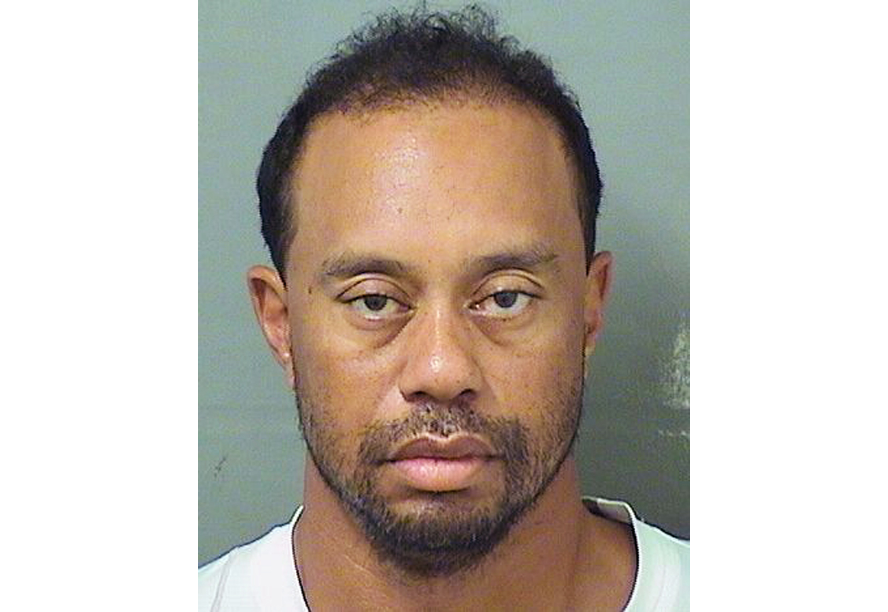Busted Mugshots Columbus Ohio 2023 - fapm1l6