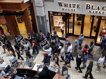 Protesters In A Mall
