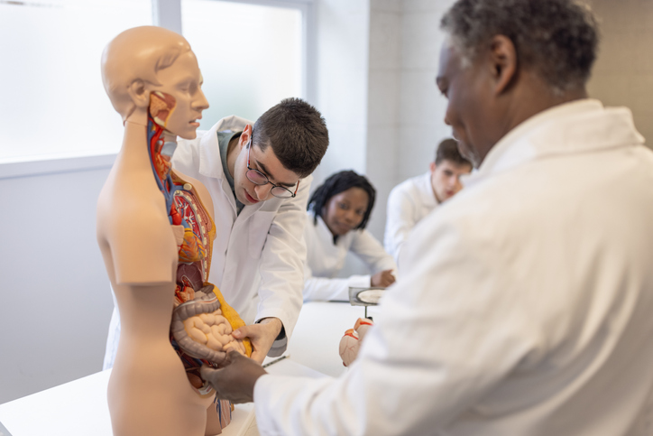 Group of High school students on anatomy class