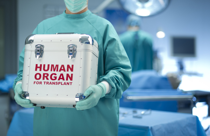 Surgeon with organ donation