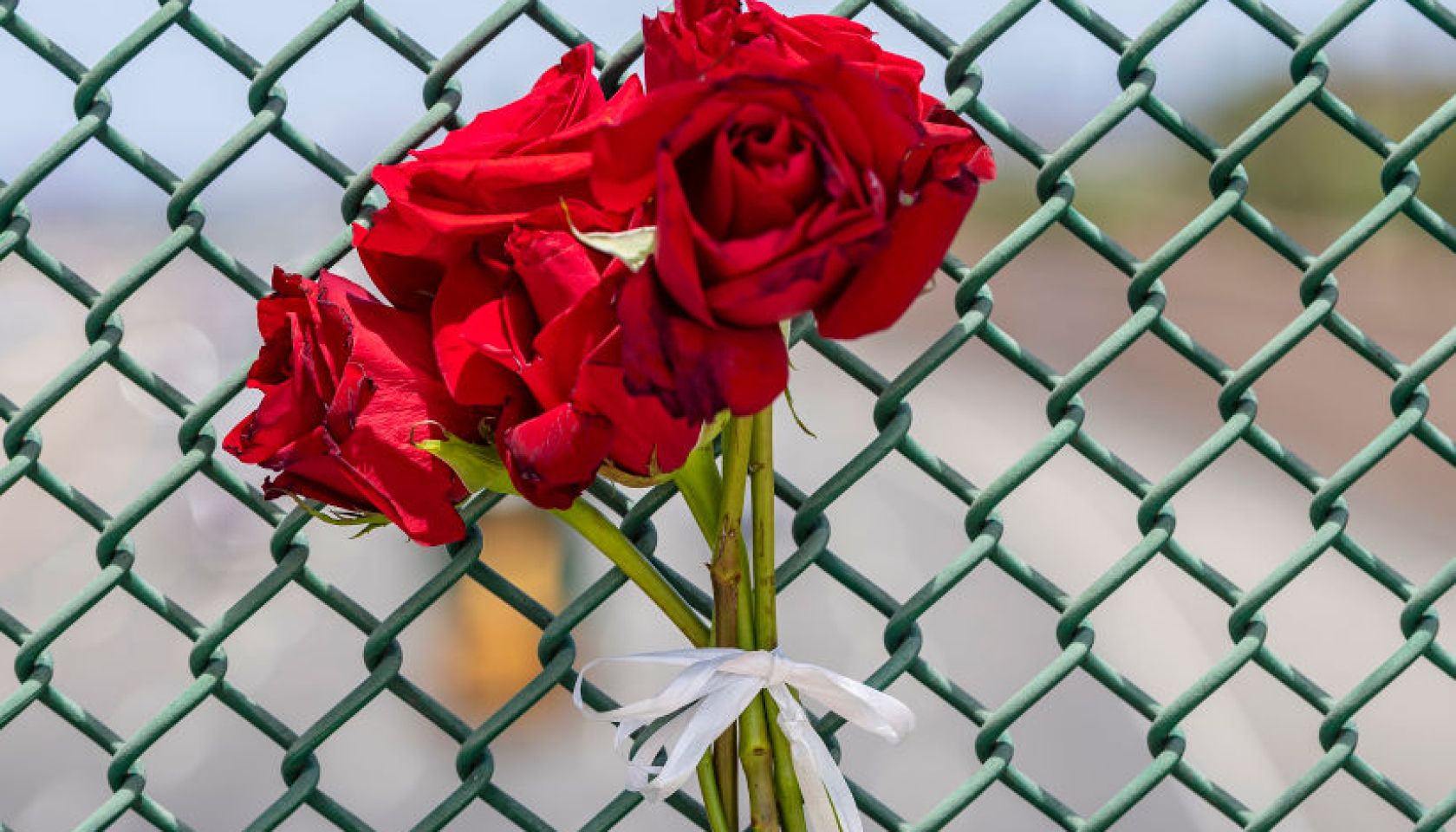Roadside memorial for boy killed in road-rage freeway shooting in Orange
