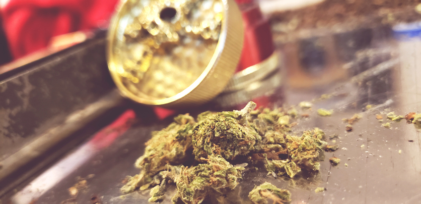 Close-Up Of Plant In Glass On Table