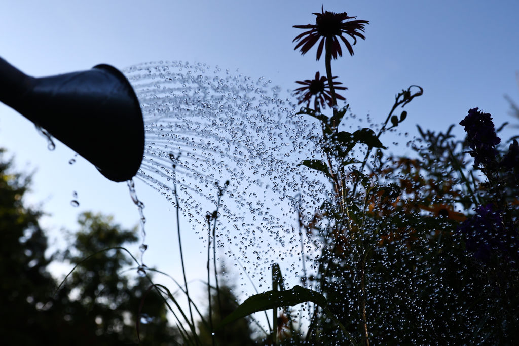 Agriculture And Gardening In Poland