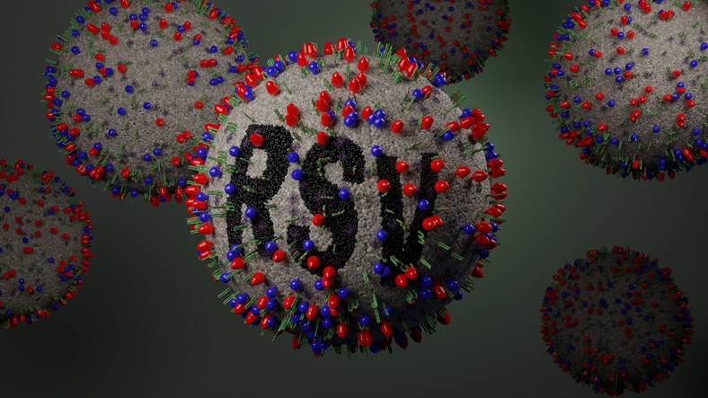 Respiratory Syncytial Virus or RSV
