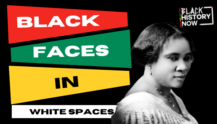 BUSINESS Black Faces in White Spaces