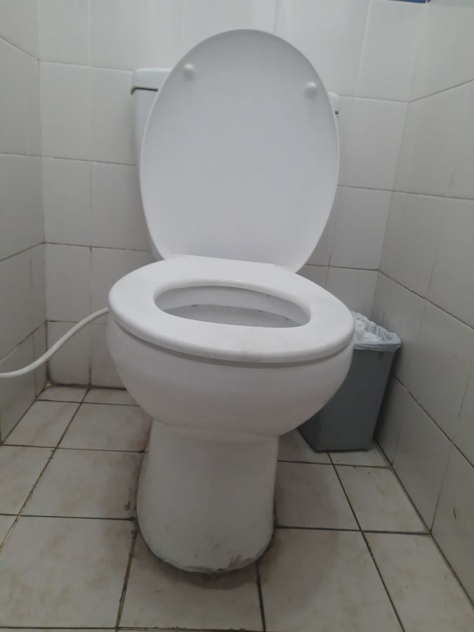 toilet
