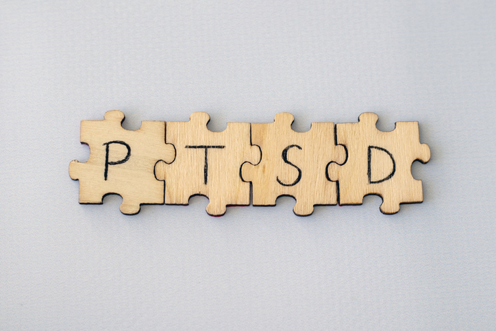 PTSD Puzzle - Piecing Together the Pieces of Trauma