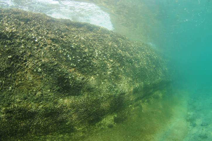 Rocky Shelf Under Sea Surface
