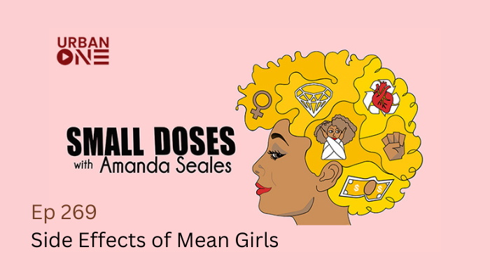 Side Effects of Mean Girls Small Doses Podcast with Amanda Seales Ep 269