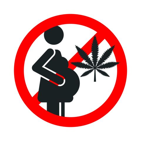 No marijuana during pregnancy red forbidden sign on white background
