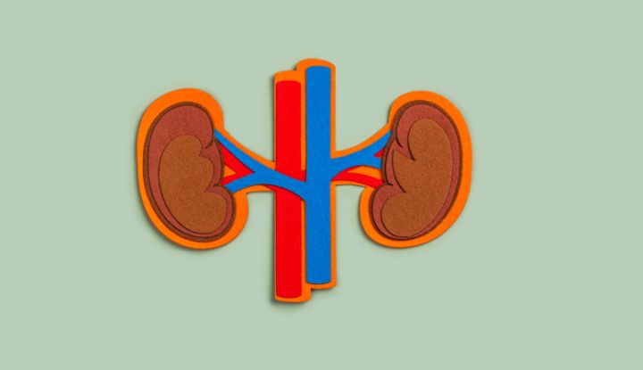 Urology Awareness Month September