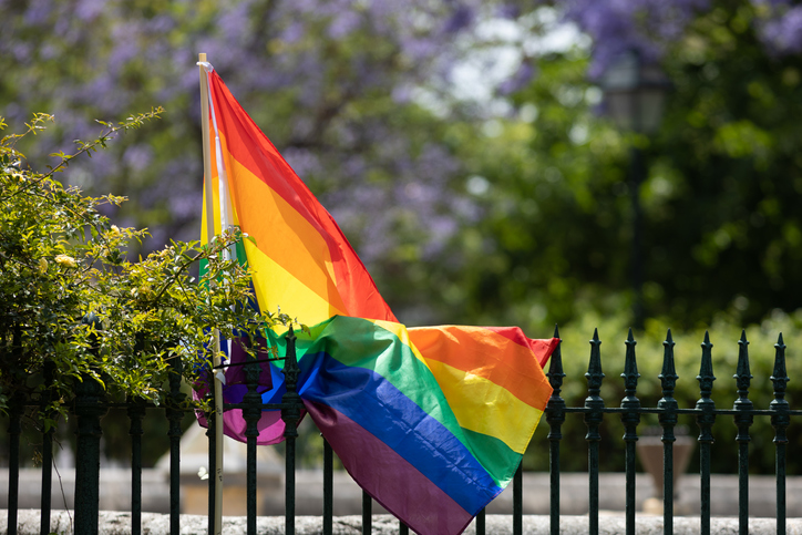 LGBT flag at the fence in the park in the summer park