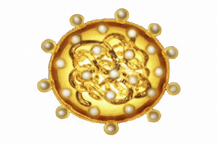 Blacks Have Higher Rates of Hepatitis C-Related Deaths