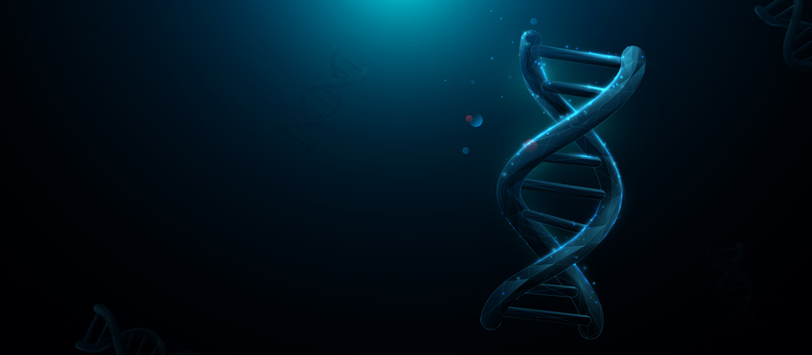 DNA structure. Science, genetics, and biotechnology. Low polygon, lines, triangles, and particle style design. Illustration vector