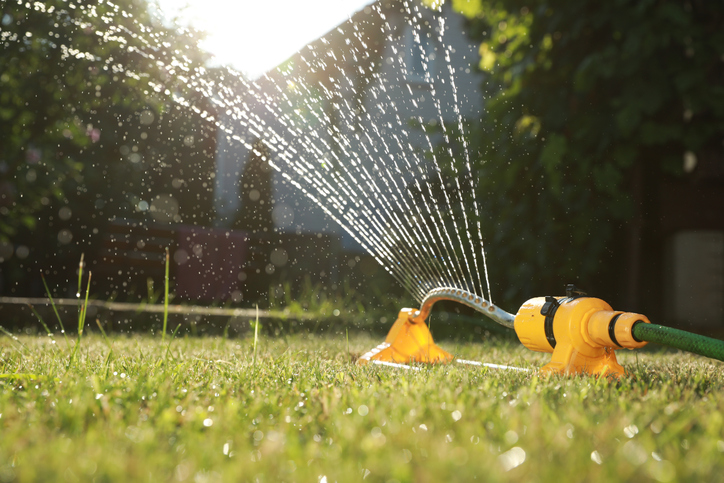 Lawn Sprinkler