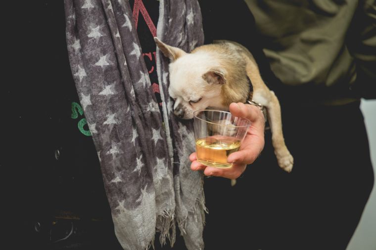 Bob Marley: One Love Exhibition