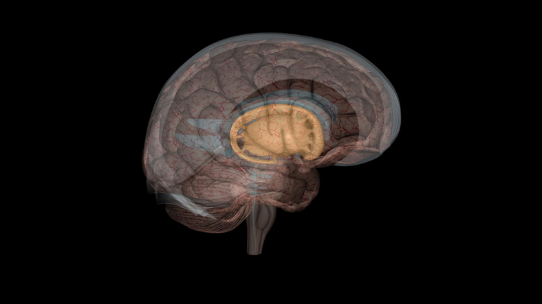 What You Need to Know About Dementia