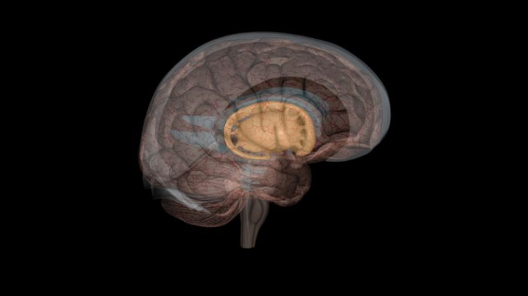 What You Need to Know About Dementia