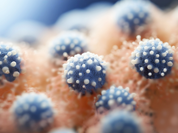 Respiratory syncitial viruses, illustration