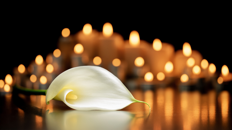 Calla lily flower on the grave and blurred lighted candles on dark background.
