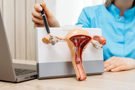 Doctor holding Uterus and Ovaries model. Ovarian and Cervical cancer, Cervix disorder, Endometriosis, Hysterectomy, Uterine fibroids, Reproductive system and Pregnancy concept