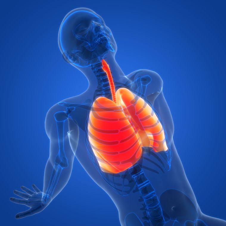 Volunteers Needed for HeartShare Study