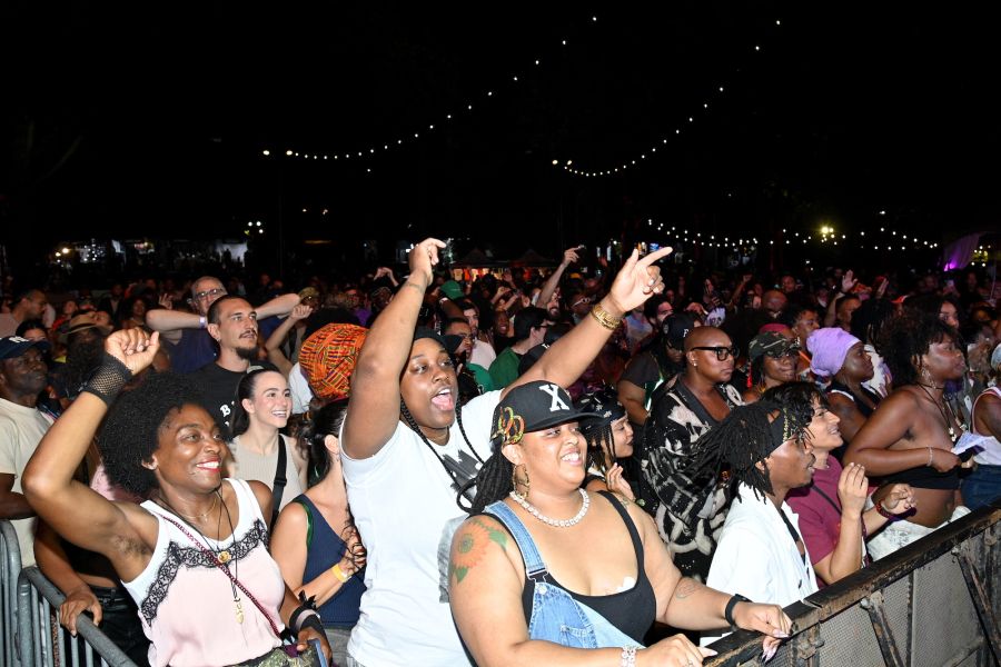 AFROPUNK BLKTOPIA Brooklyn 2024