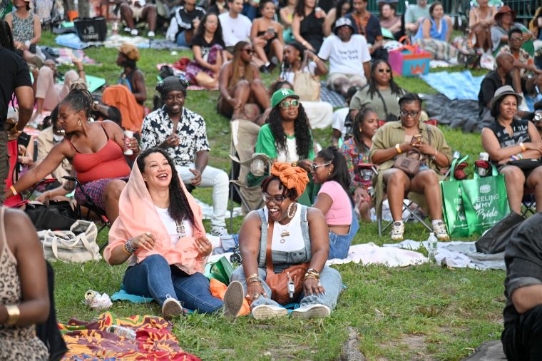 Turnout for AFROPUNK Day 2 proved to be bigger than the previous night
