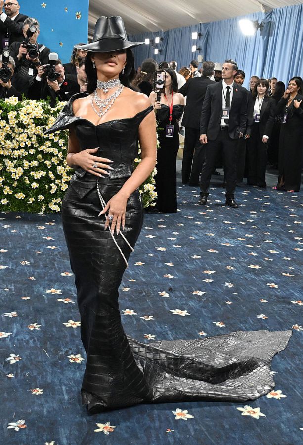 The 2025 Met Gala Celebrating "Superfine: Tailoring Black Style"
