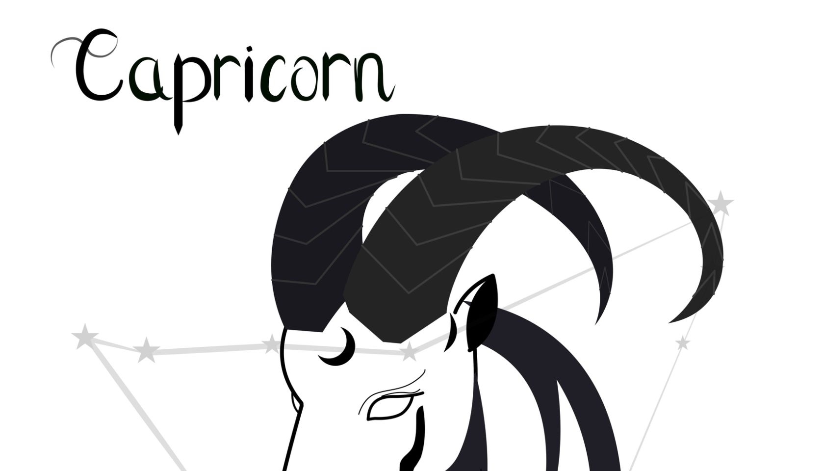 Capricorn zodiac