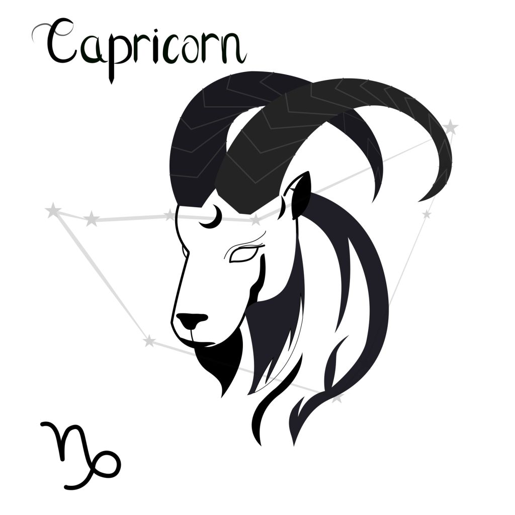 Capricorn zodiac