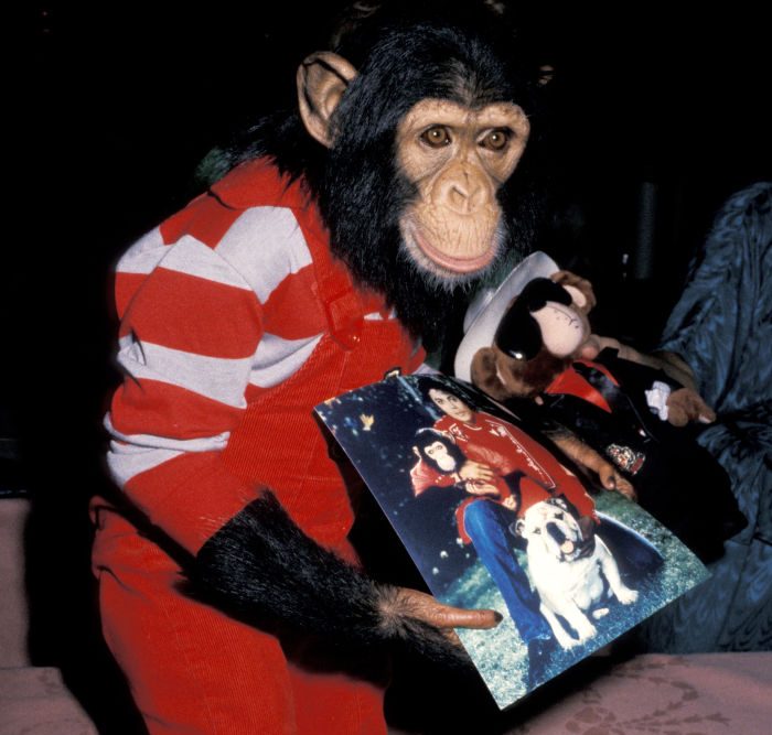 3rd Annual Amanda Foundation Celebrity Fashion Show