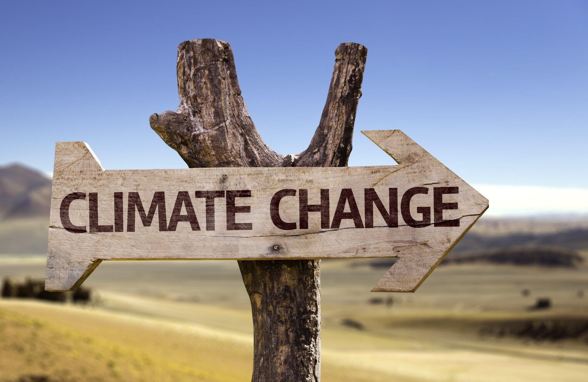 Climate Crisis Is Devastating Homes and Crushing Black Homeownership