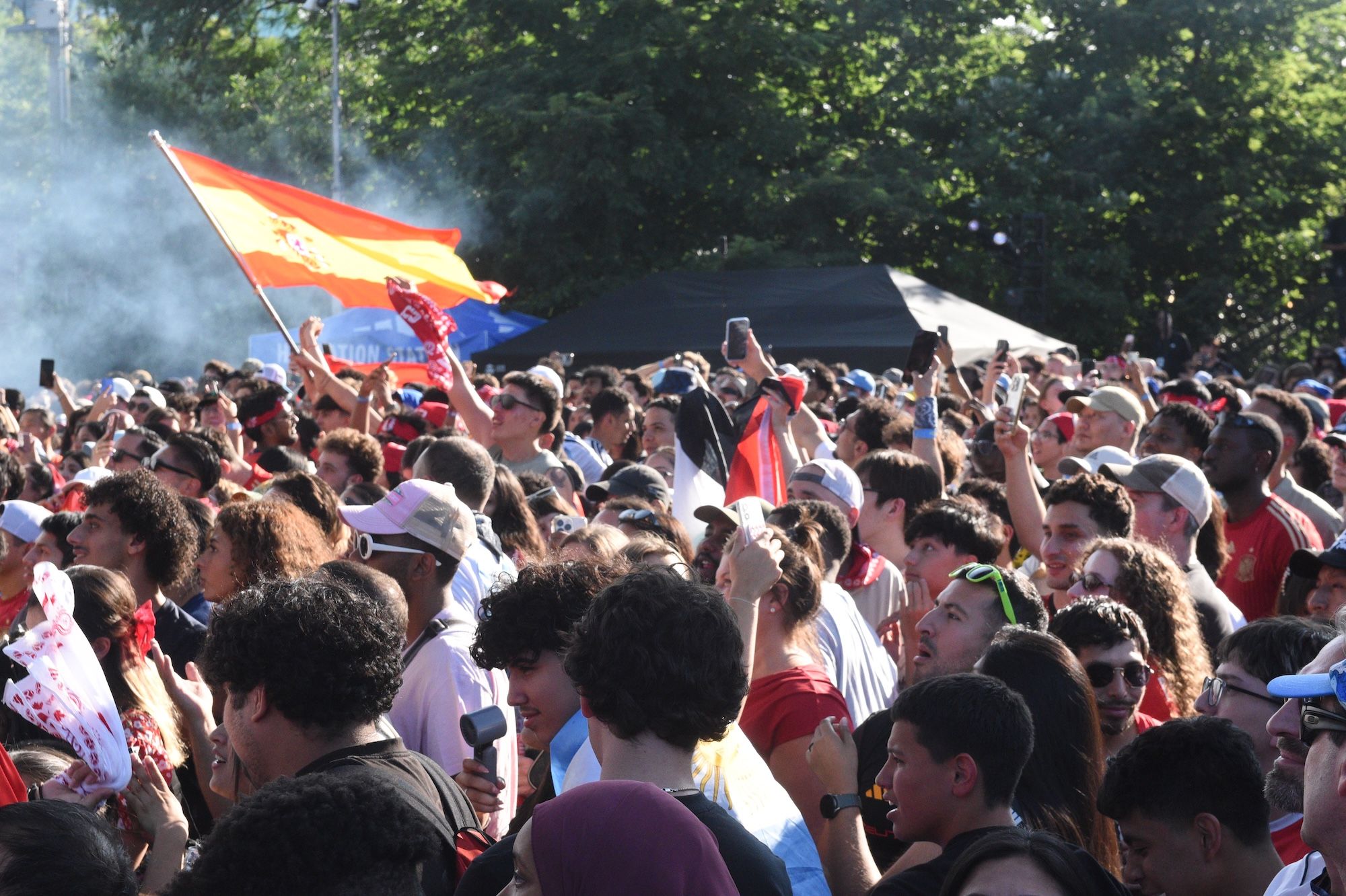 A large crowd of people waving flags and cheering, with smoke in the background.