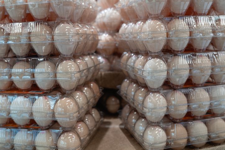 Eggs in transparent plastic cartons on supermarket shelves.